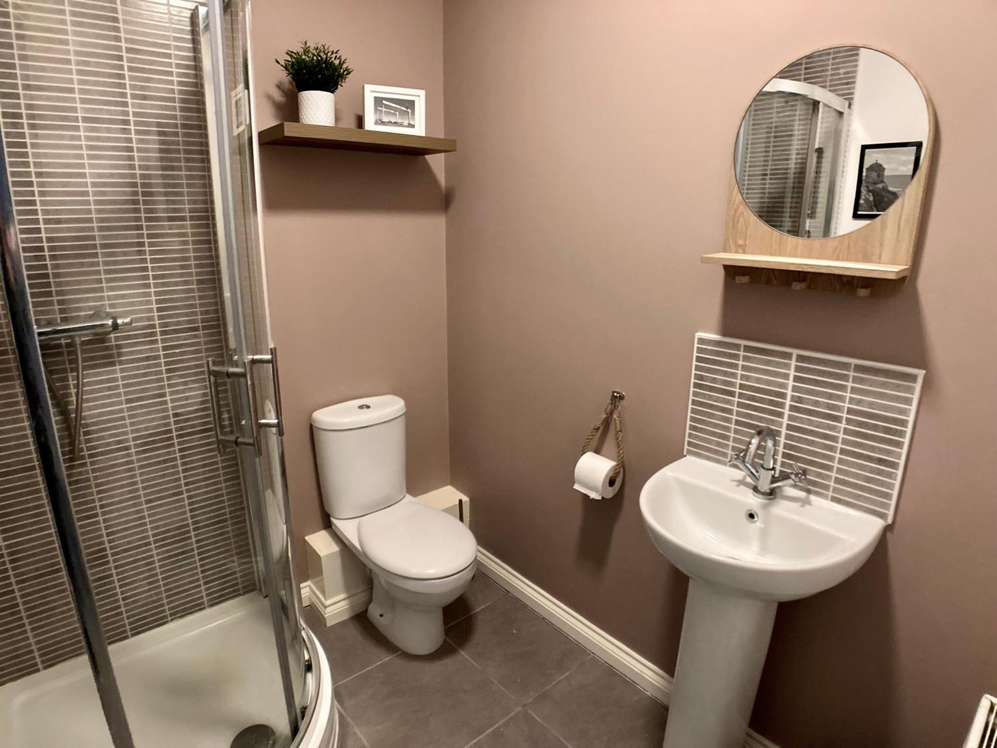 Emily Lane Apartments Belfast Dış mekan fotoğraf